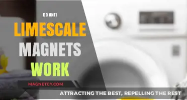 Debunking Myths: The Truth About Anti-Limescale Magnets