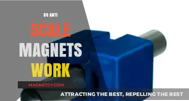 Debunking Myths: The Truth About Anti-Scale Magnets