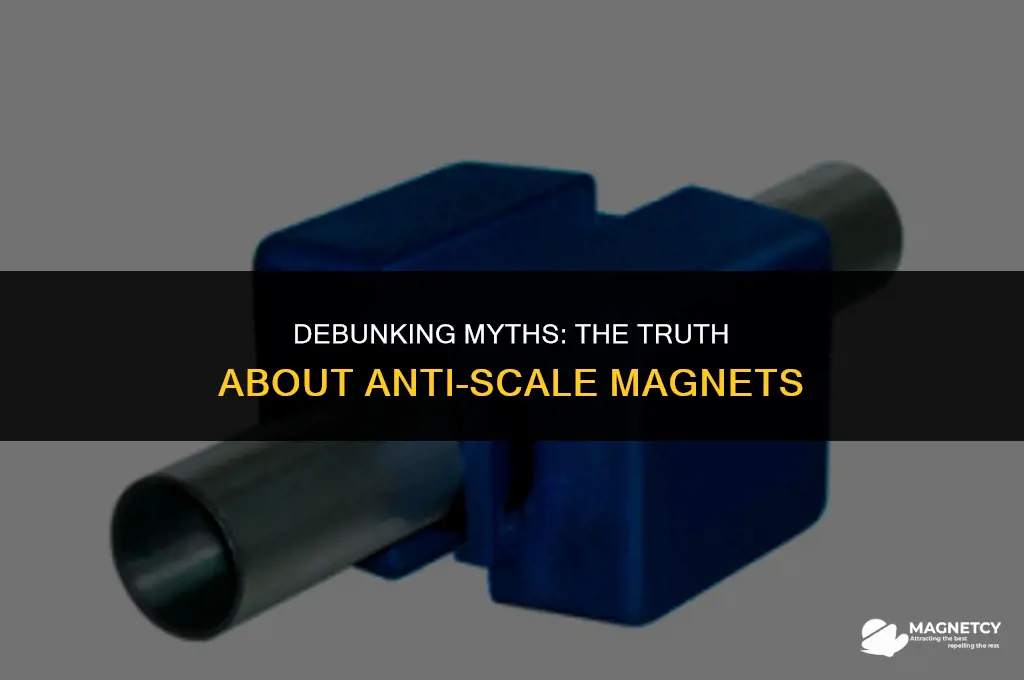 do anti scale magnets work