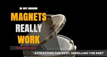 Exploring the Effectiveness of Anti-Smoking Magnets: A Scientific Look