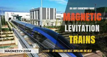 Exploring the World of Maglev: Countries with Magnetic Levitation Trains
