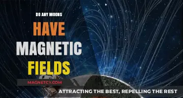Exploring Lunar Magnetism: Do Any Moons Have Magnetic Fields?