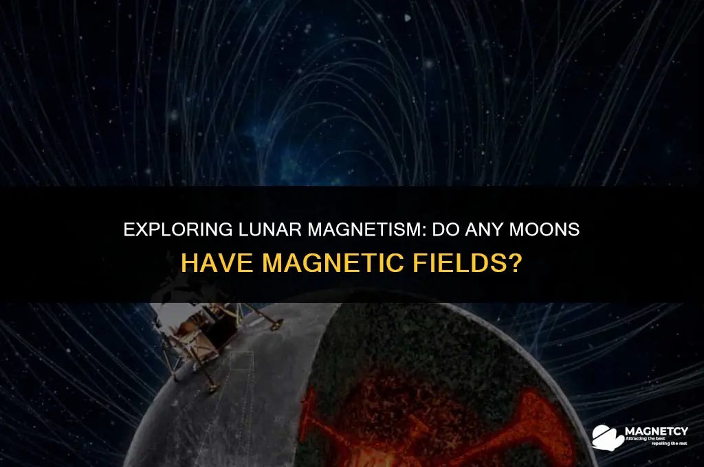 do any moons have magnetic fields