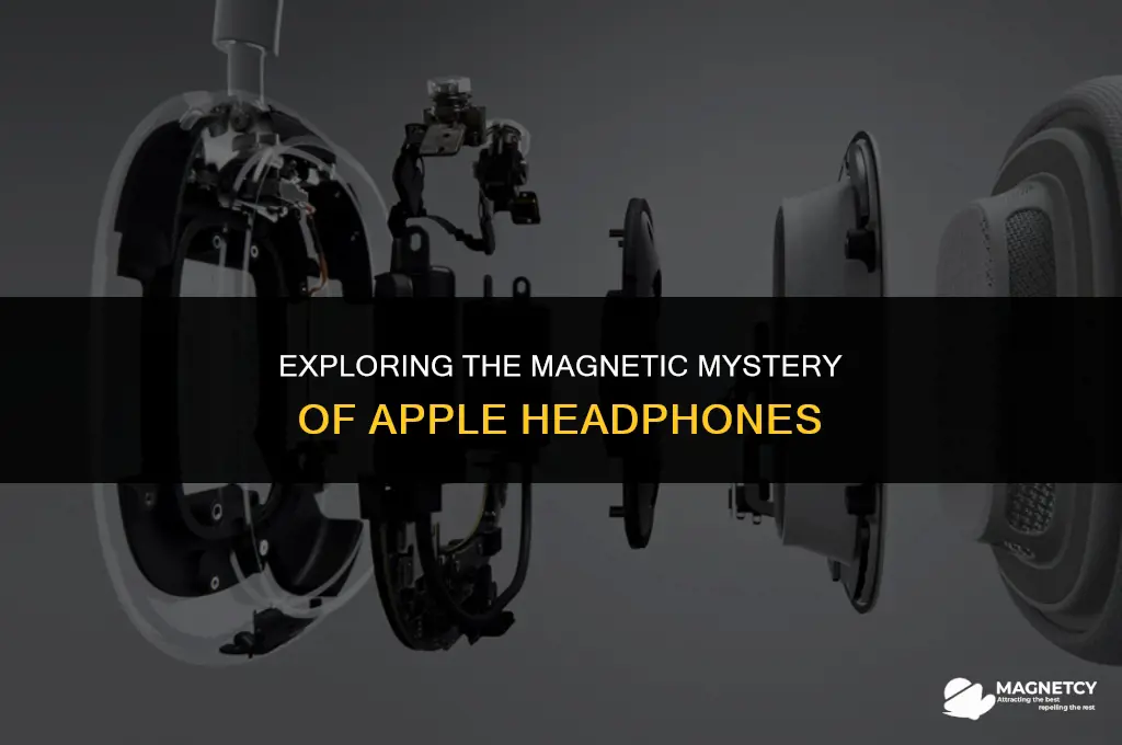 do apple headphones have magnets in them