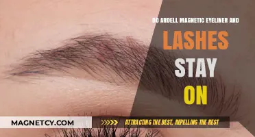 Long-Lasting Glamour: Ardell Magnetic Eyeliner and Lashes Review