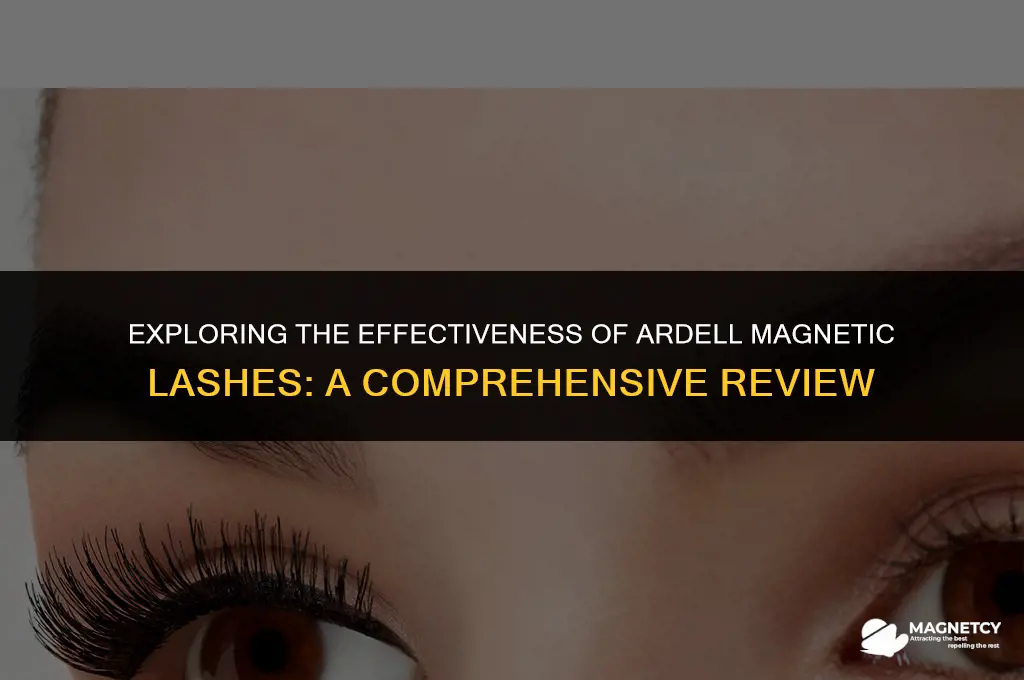 do ardell magnetic lashes work