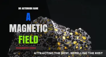Exploring the Magnetic Mysteries of Asteroids: A Cosmic Inquiry