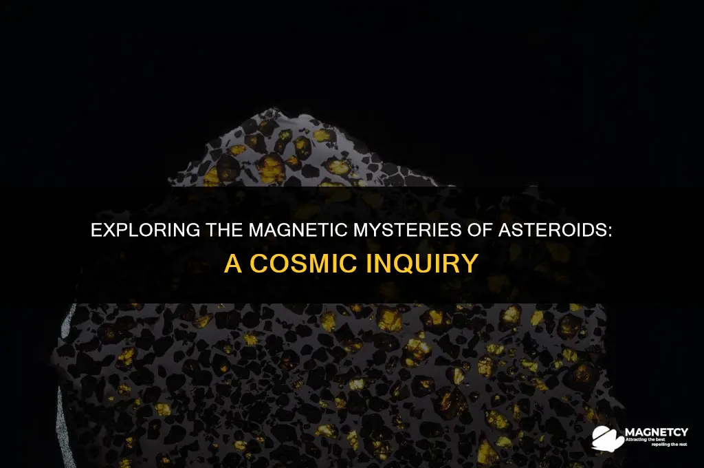 do asteroids have a magnetic field