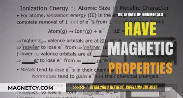 Exploring the Magnetic Nature of Nonmetal Atoms