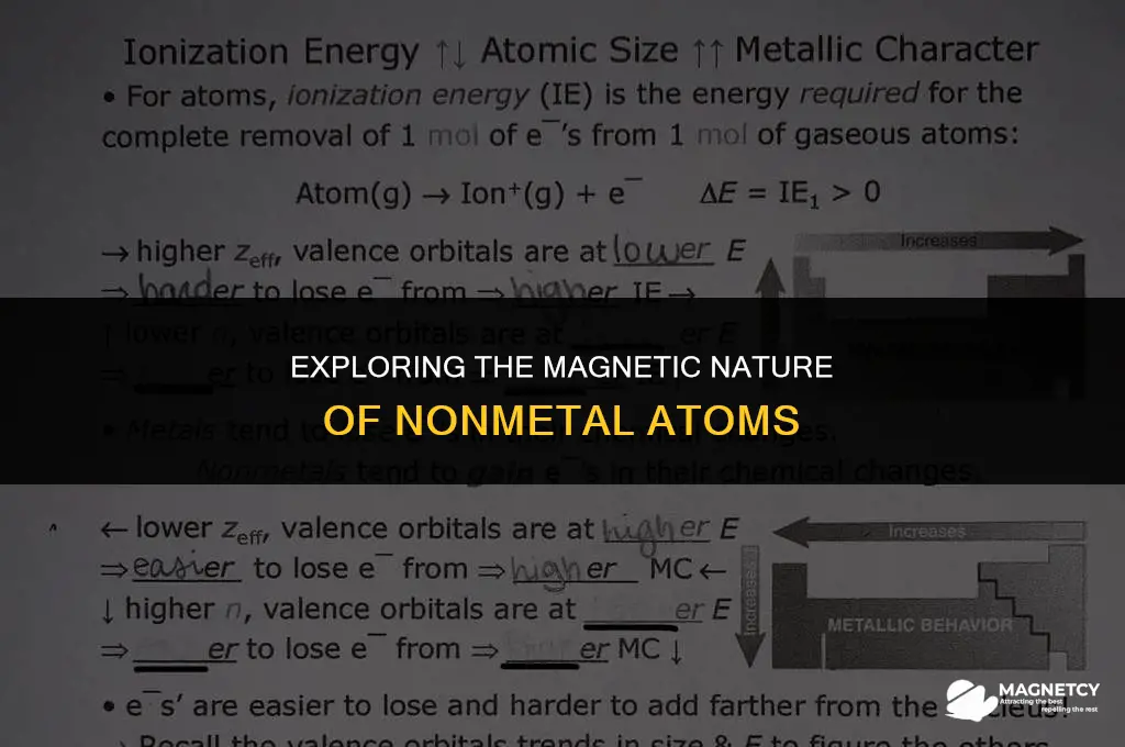 do atoms of nonmetals have magnetic properties