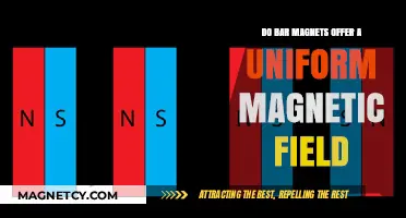 Exploring the Magnetic Field Uniformity of Bar Magnets
