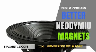 The Impact of Neodymium Magnets on Speaker Quality: Unveiling the Truth