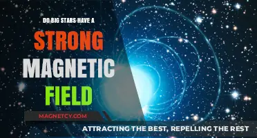 Do Big Stars Have a Strong Magnetic Field?