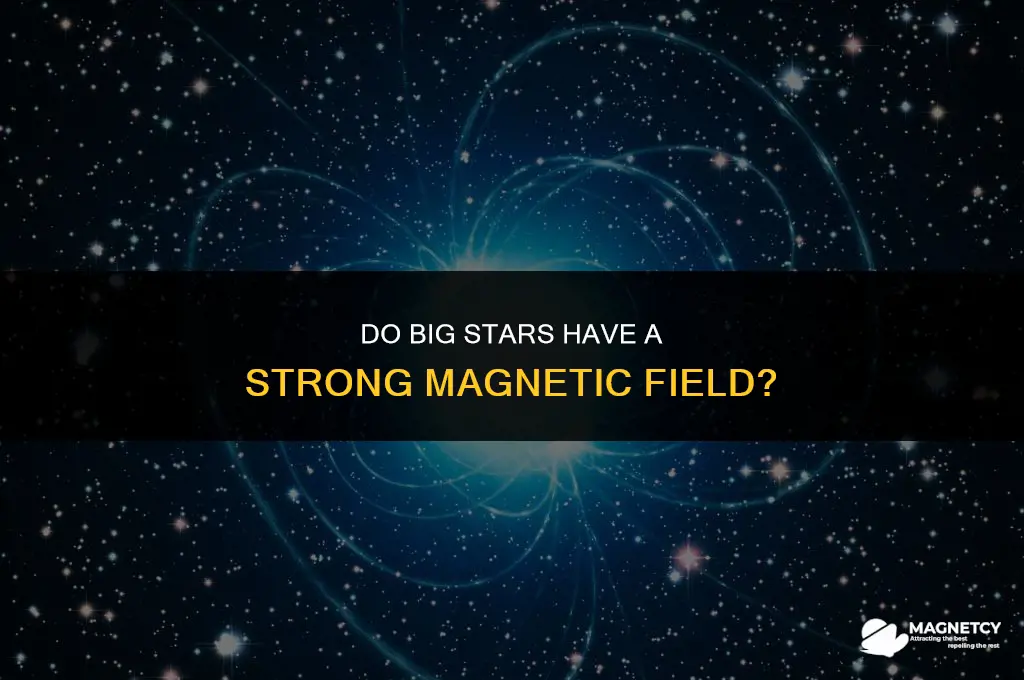 do big stars have a strong magnetic field