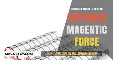 Exploring Magnetism: Do Larger Magnets Extend Their Magnetic Reach?