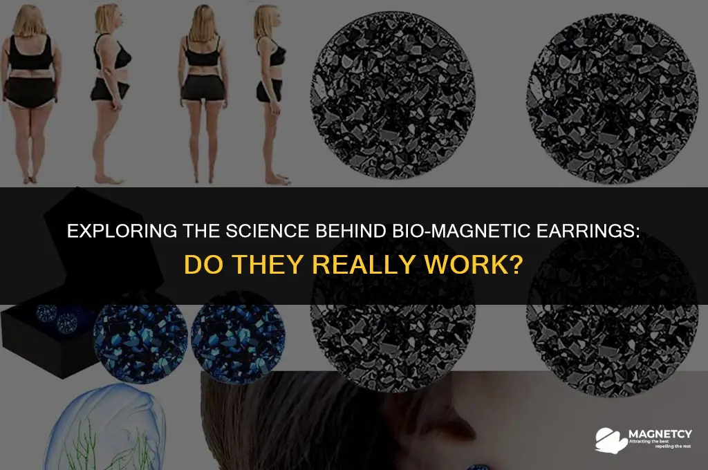 do bio magnetic earrings work