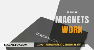 Exploring the Science Behind Bioflow Magnets: Do They Really Work?