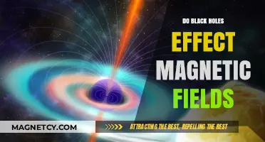 Exploring the Cosmic Dance: Black Holes and Magnetic Fields