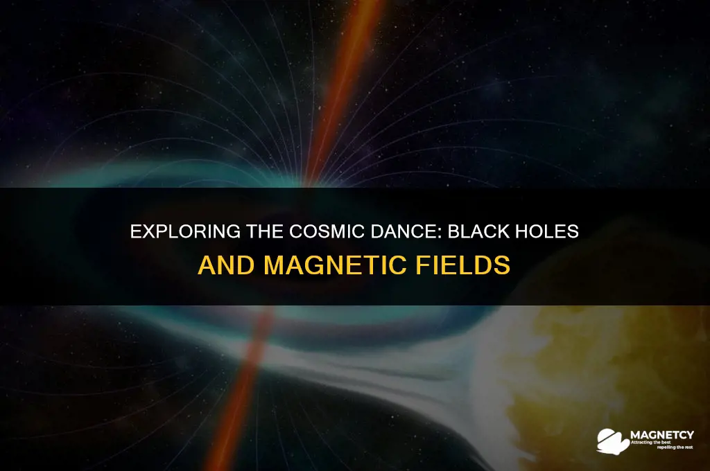 do black holes effect magnetic fields