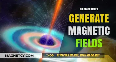 Unveiling the Mysteries: Do Black Holes Generate Magnetic Fields?