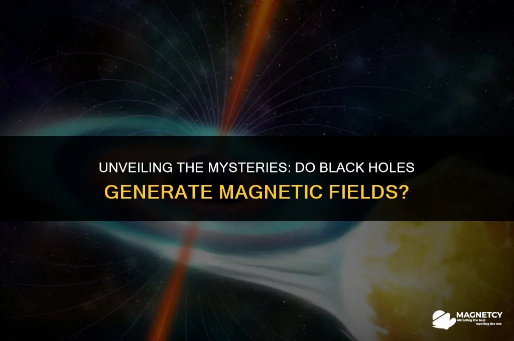 do black holes generate magnetic fields