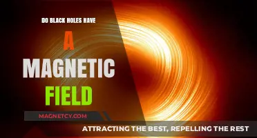 Unveiling the Mysteries: Do Black Holes Harbor Magnetic Fields?