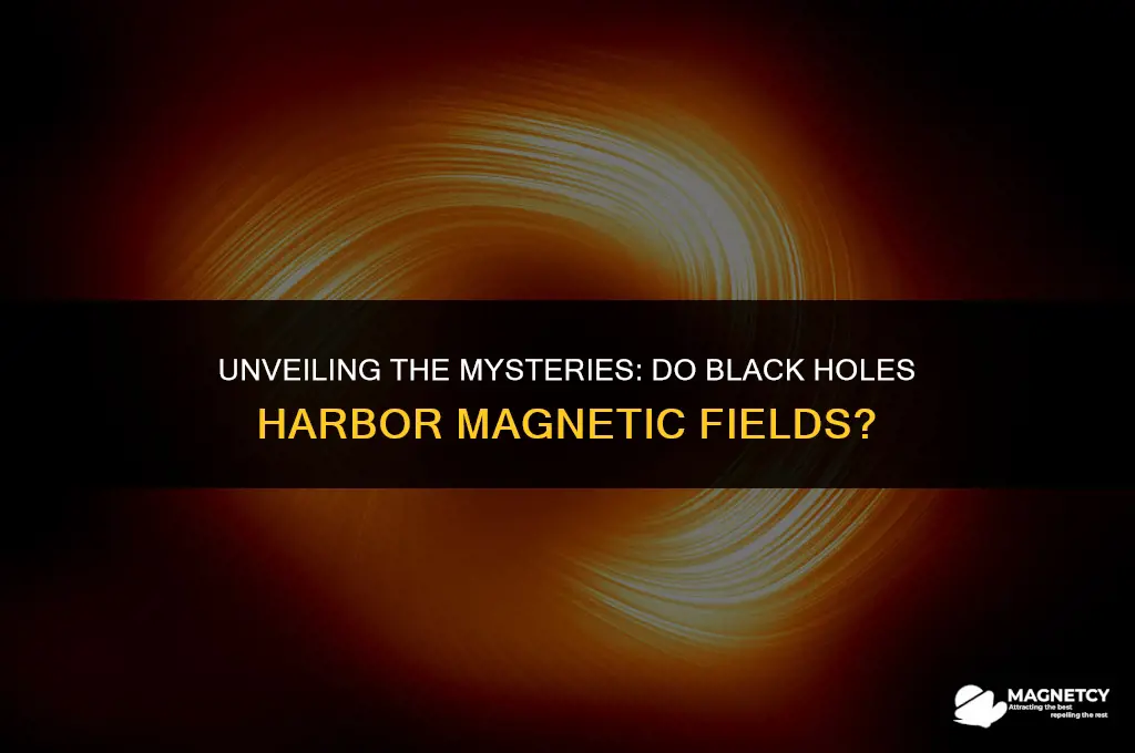 do black holes have a magnetic field