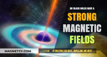 Unveiling the Mysteries: Do Black Holes Harbor Powerful Magnetic Fields?