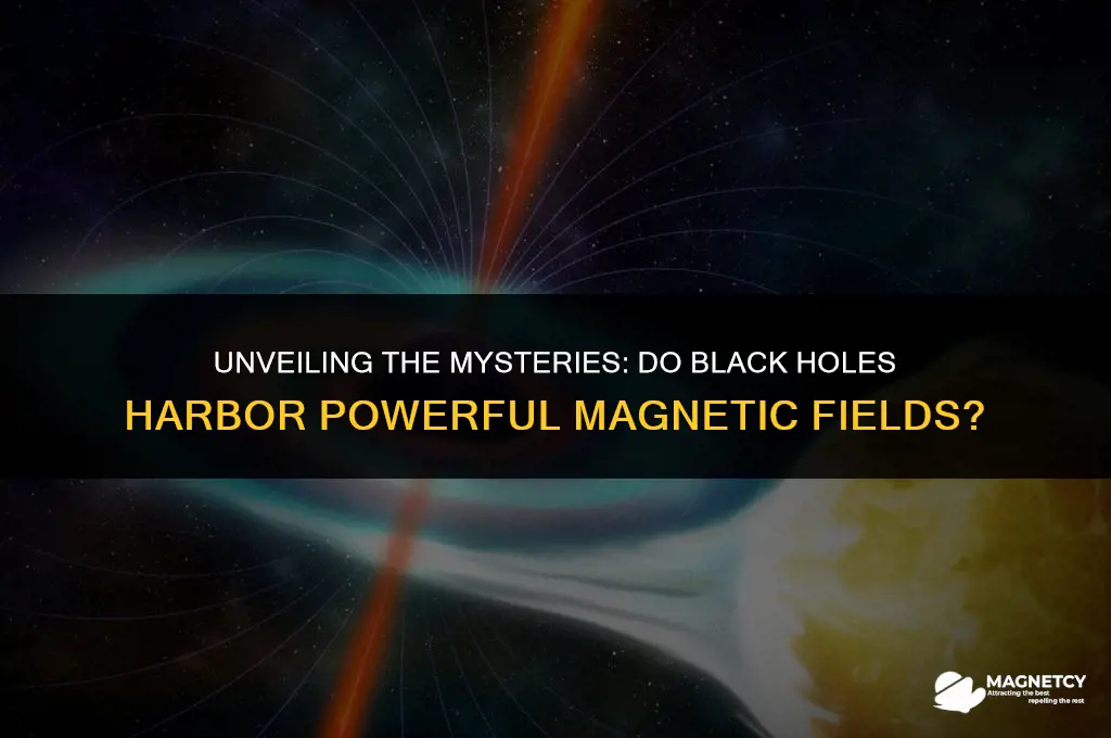 do black holes have a strong magnetic fields