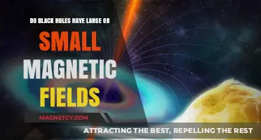 Unveiling the Mysteries: Black Holes' Magnetic Field Enigma