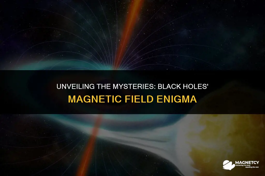 do black holes have large or small magnetic fields