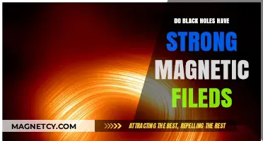 Unveiling the Mysteries: Do Black Holes Harbor Strong Magnetic Fields?