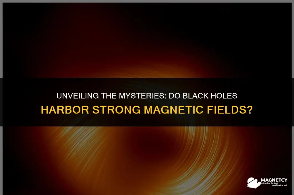 do black holes have strong magnetic fileds
