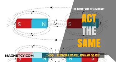 Exploring Magnetism: Do Both Ends of a Magnet Act the Same?