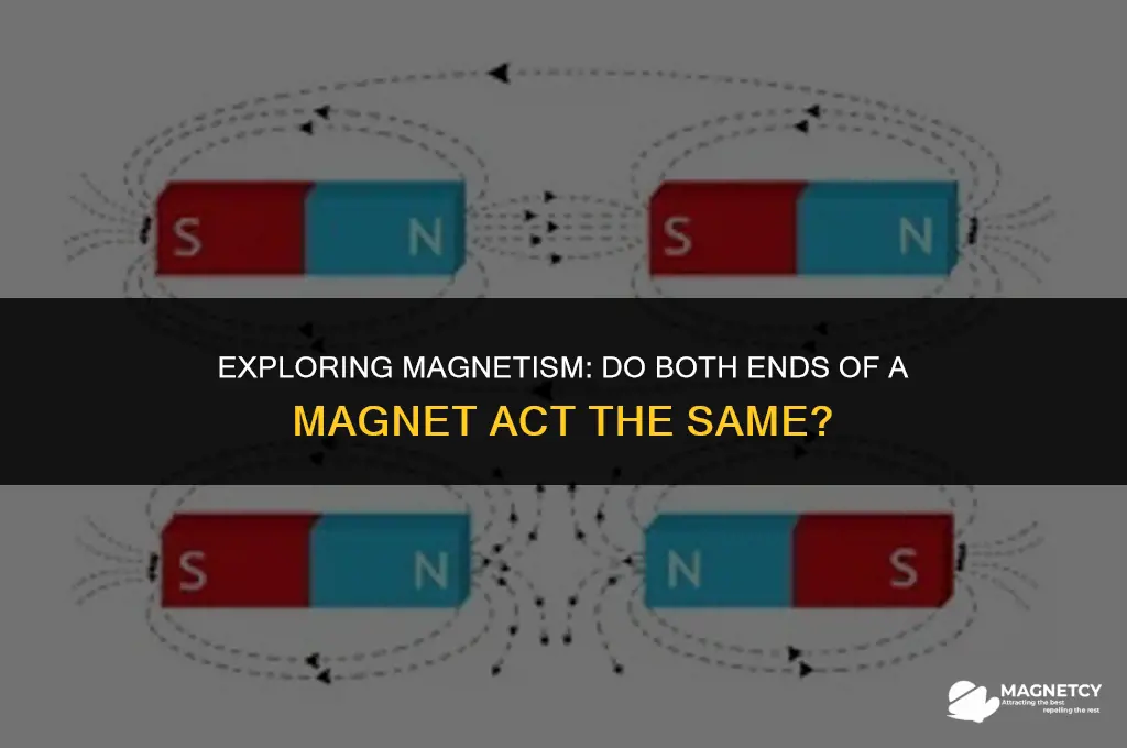 do both ends of a magnet act the same