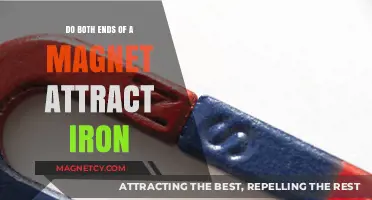 Do Magnets Attract Iron on Both Ends? Exploring Magnetic Poles