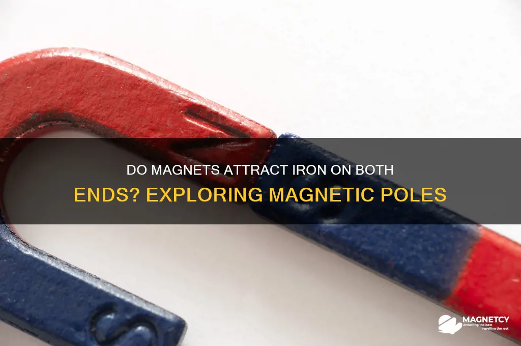 do both ends of a magnet attract iron