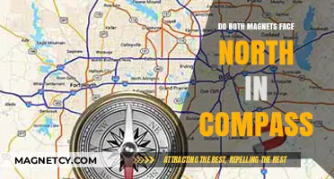 Exploring Magnetic Mysteries: Do Both Magnets Face North in a Compass?