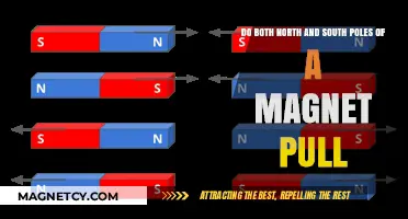 Magnetic Attraction: Do Both Poles Pull or Just One?