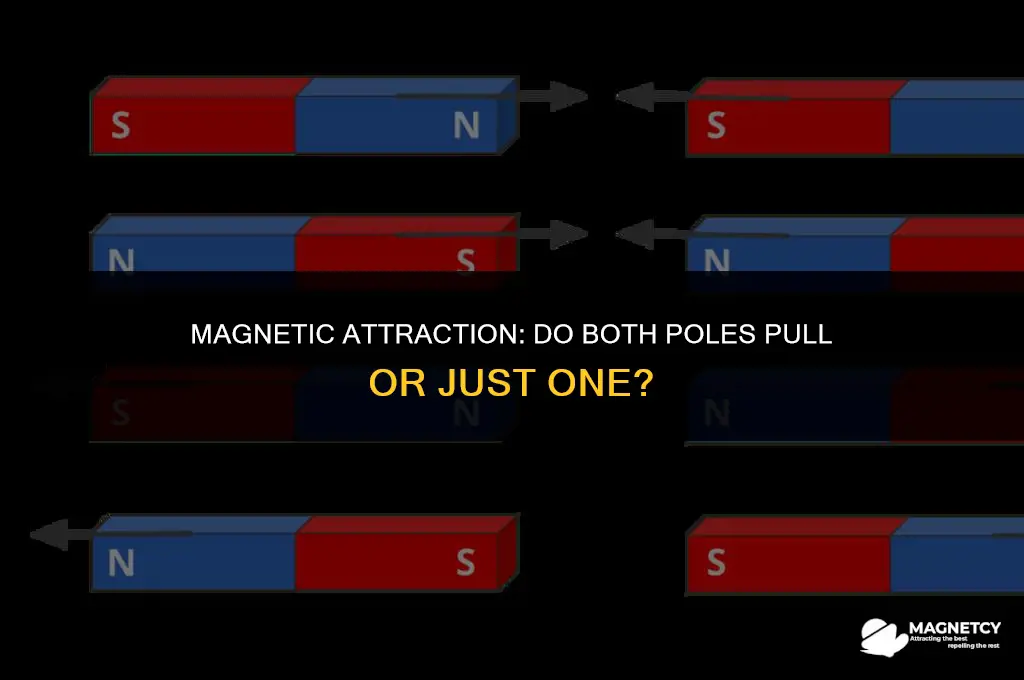 do both north and south poles of a magnet pull