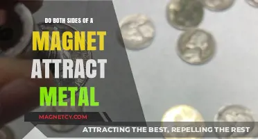 Magnetic Mysteries: Do Both Sides of a Magnet Attract Metal?