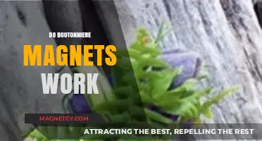 Exploring the Effectiveness of Boutonniere Magnets: A Practical Guide