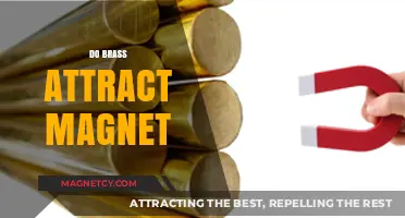 Does Brass Attract Magnets? Unveiling the Magnetic Properties of Brass