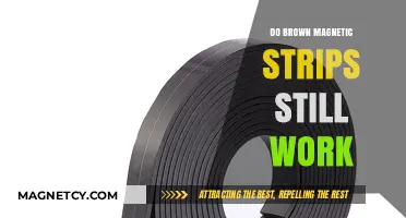 Exploring the Longevity of Brown Magnetic Strips: A Practical Guide
