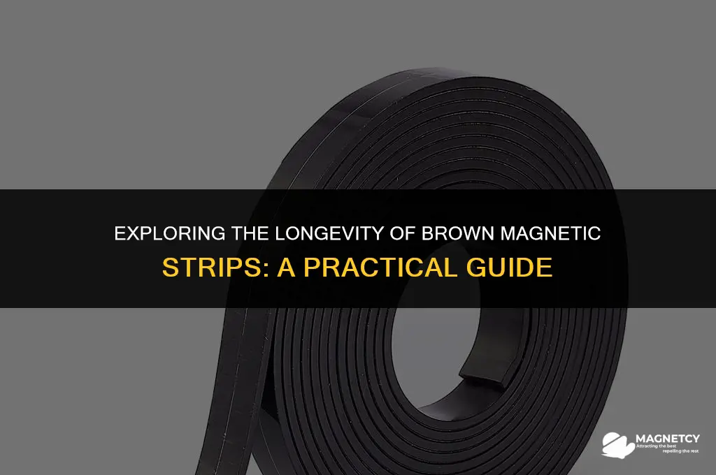 do brown magnetic strips still work