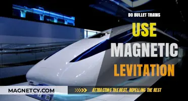Do Bullet Trains Use Magnetic Levitation? Exploring High-Speed Rail Tech