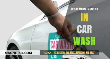 Will Your Car Magnets Survive the Car Wash Test?