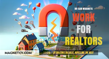 Boosting Realtor Visibility: The Power of Car Magnets Unveiled