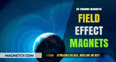 Exploring the Impact of Changing Magnetic Fields on Magnets