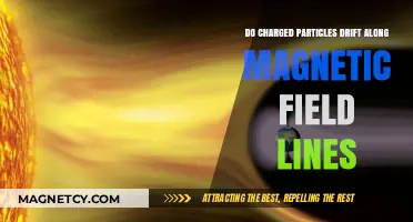 Exploring the Dynamics: Do Charged Particles Drift Along Magnetic Field Lines?